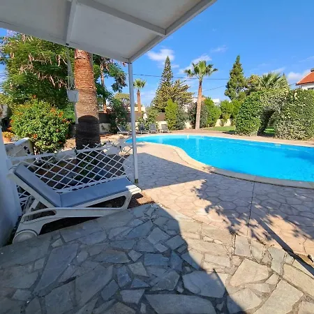 Mediterranean Poolside Garden